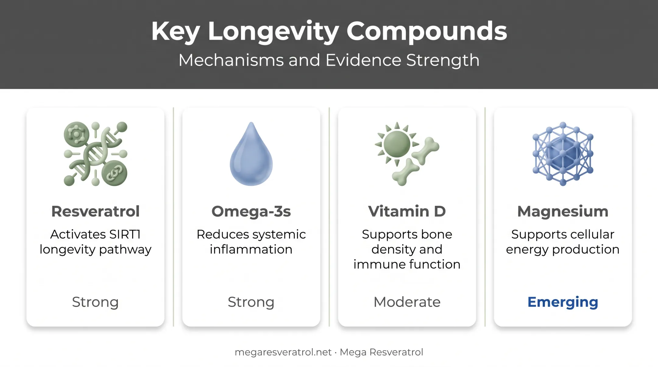 Four key longevity compounds and their evidence-based benefits comparison chart