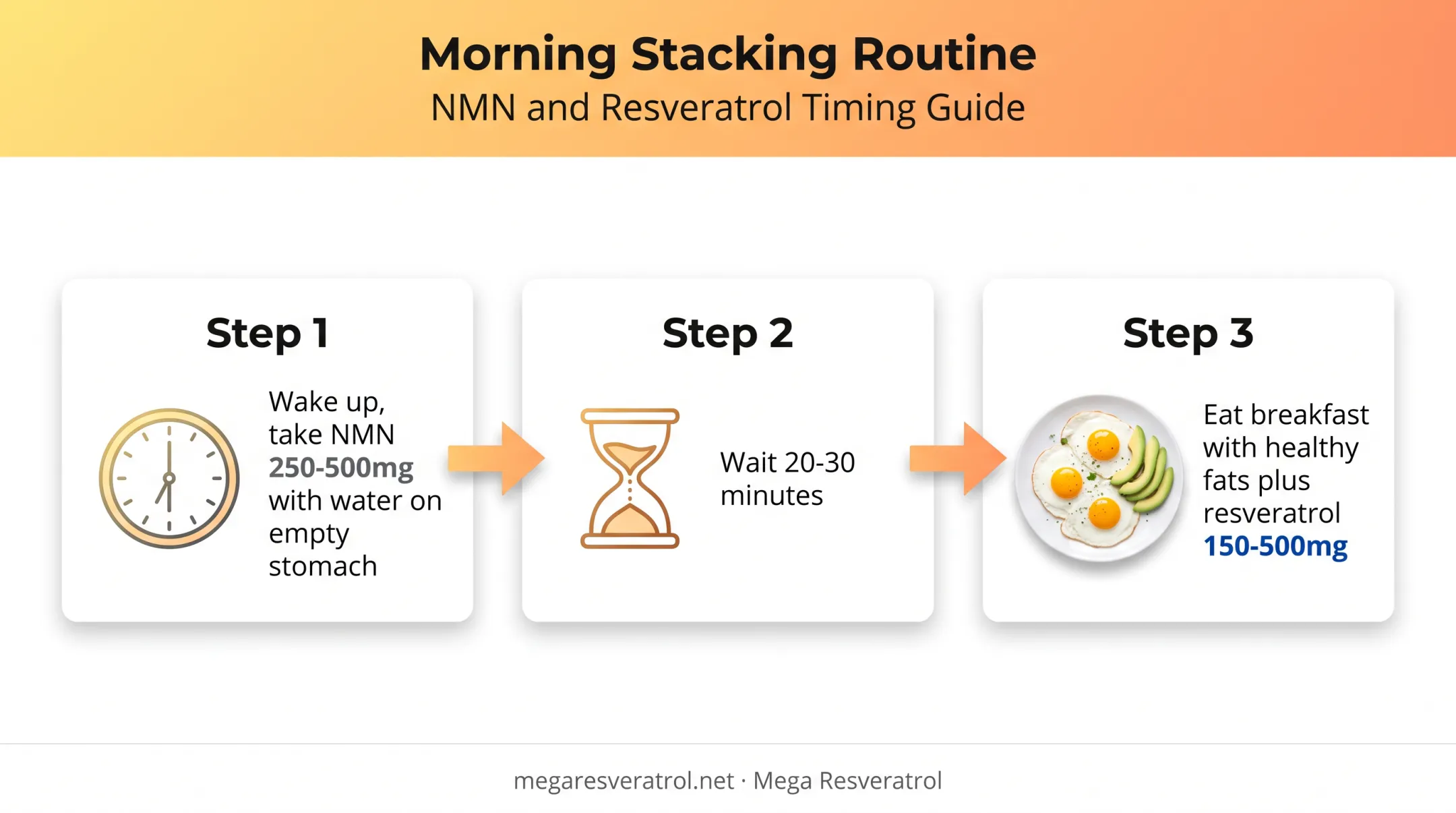 Daily NMN and resveratrol stacking routine timeline morning schedule