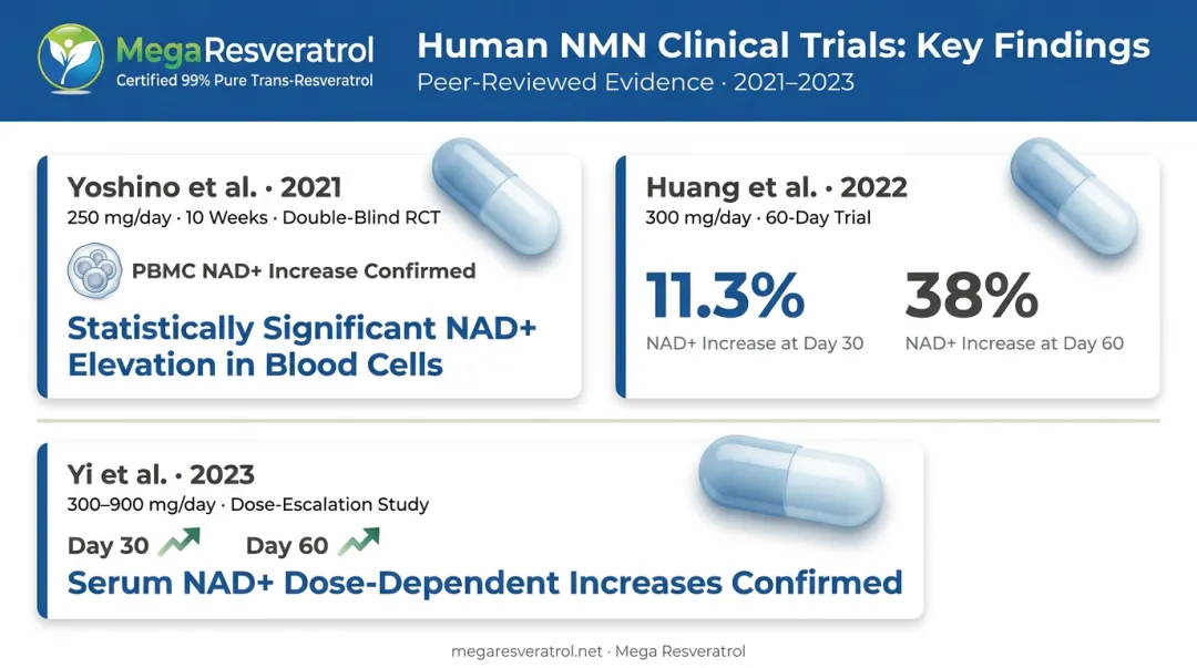 Three major NMN human clinical trials showing NAD+ increase results timeline