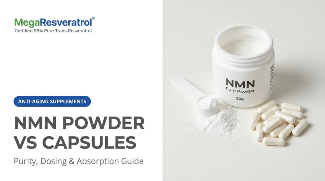 NMN Powder vs Capsules