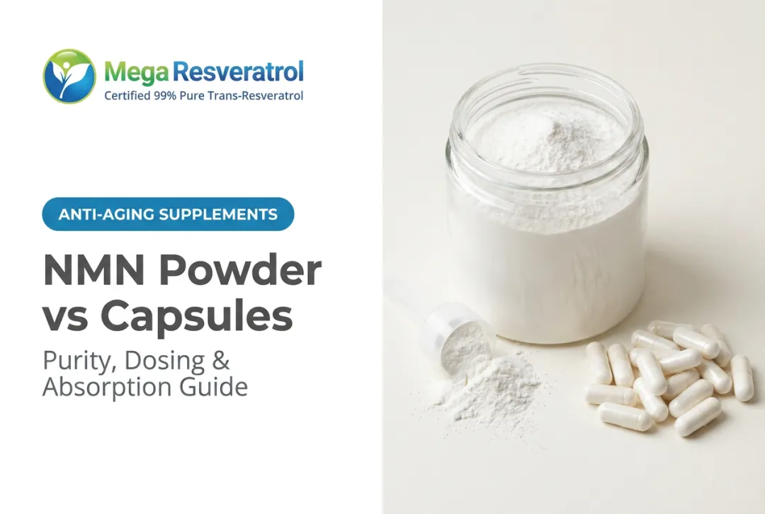 NMN Powder vs Capsules