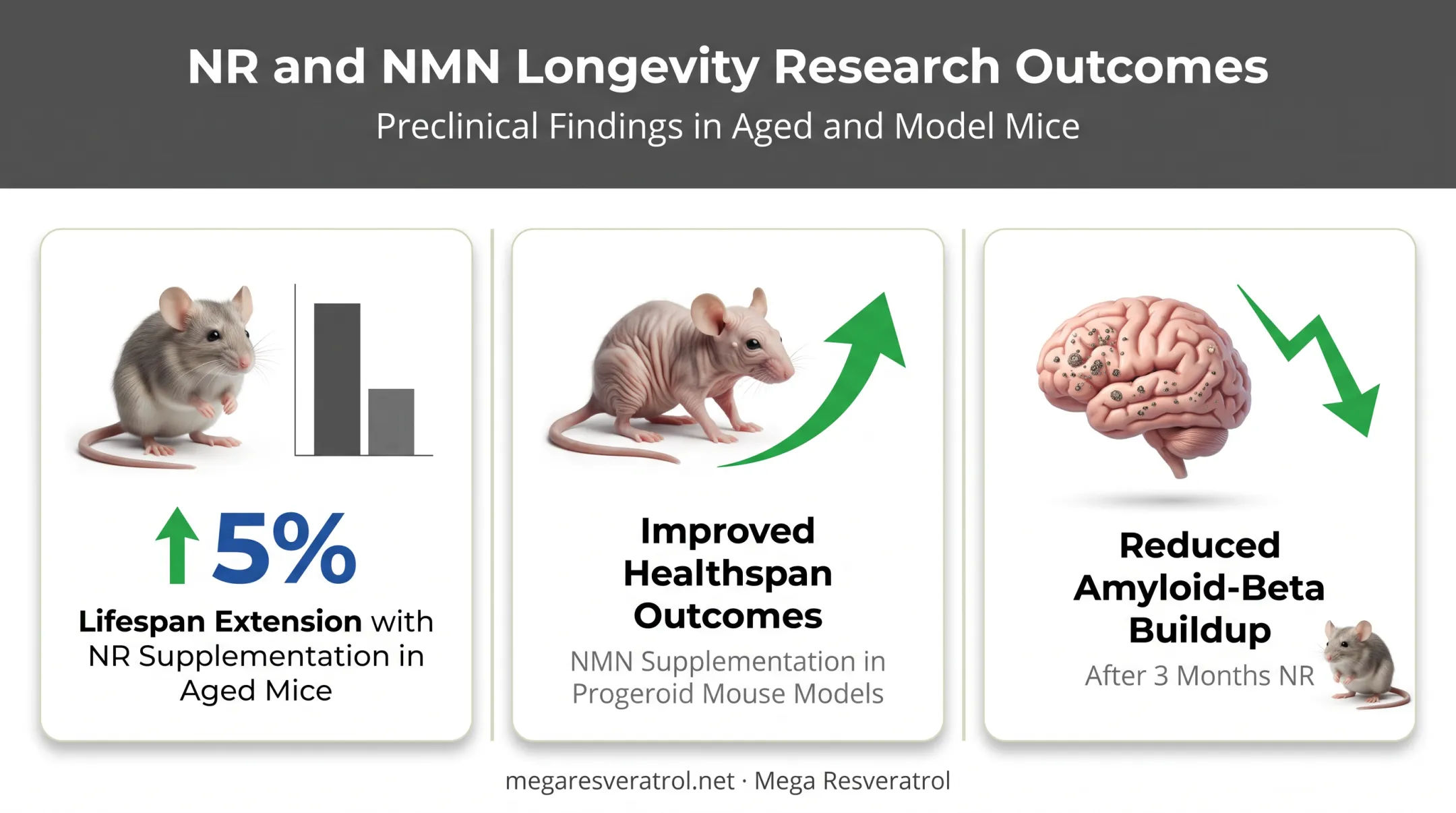 Animal study results NAD+ precursors effects on lifespan and cognitive decline