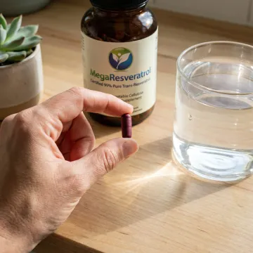 Cardiovascular Health & Wellness