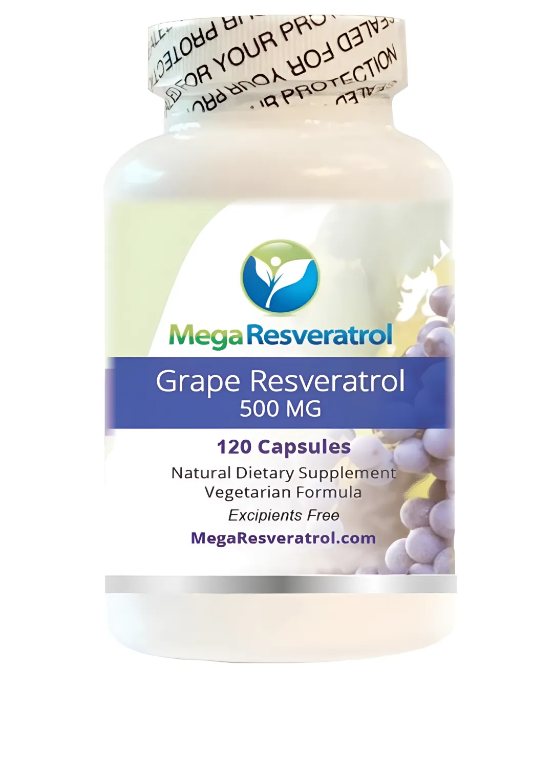 Natural & Functional Foods Industry