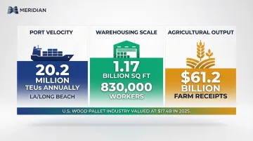 Infographic