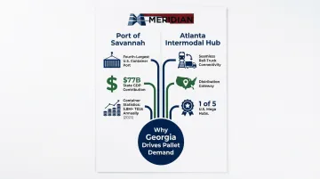 Infographic