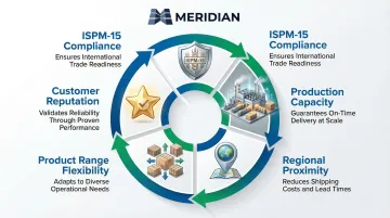 Infographic