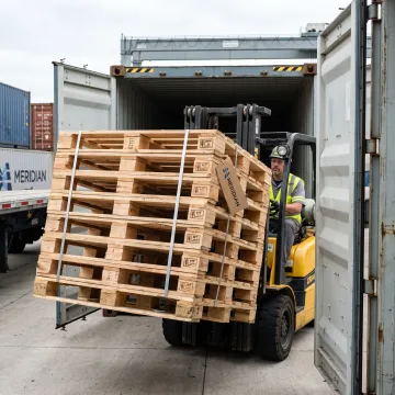 International Export & Shipping