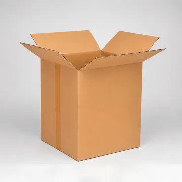 Bulk Container (Gaylord Box)