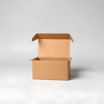 Mailer Box