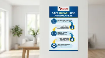 Infographic