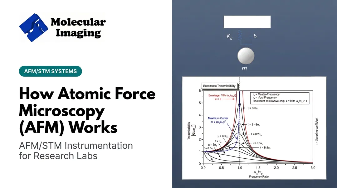 How Atomic Force Microscopy (AFM) Works