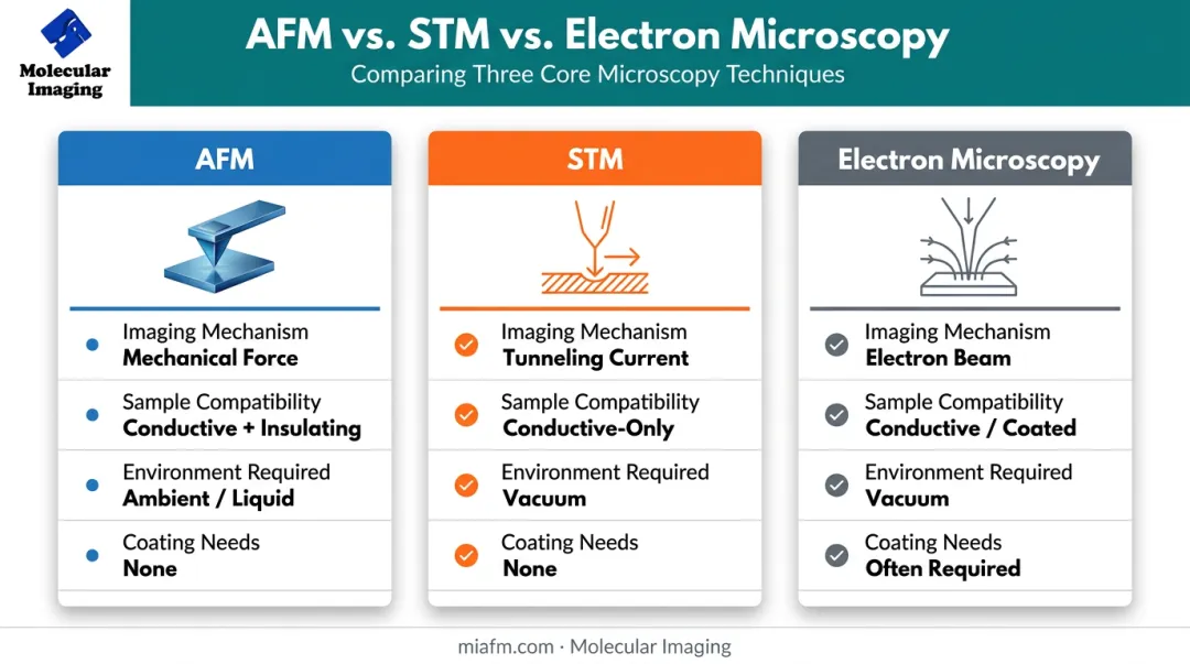 AFM versus STM versus electron microscopy technique comparison chart