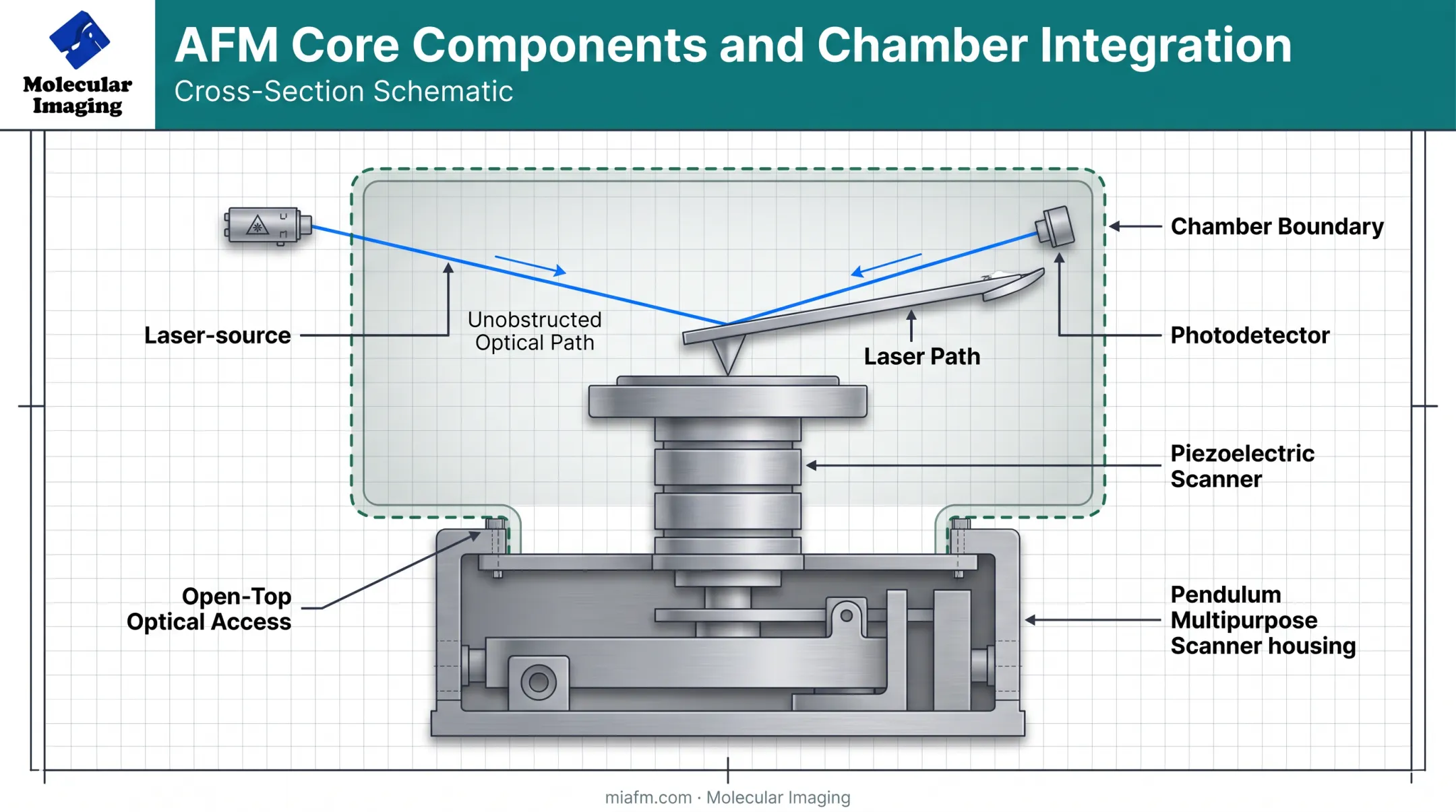 AFM cantilever tip laser photodetector components diagram with environmental chamber overlay