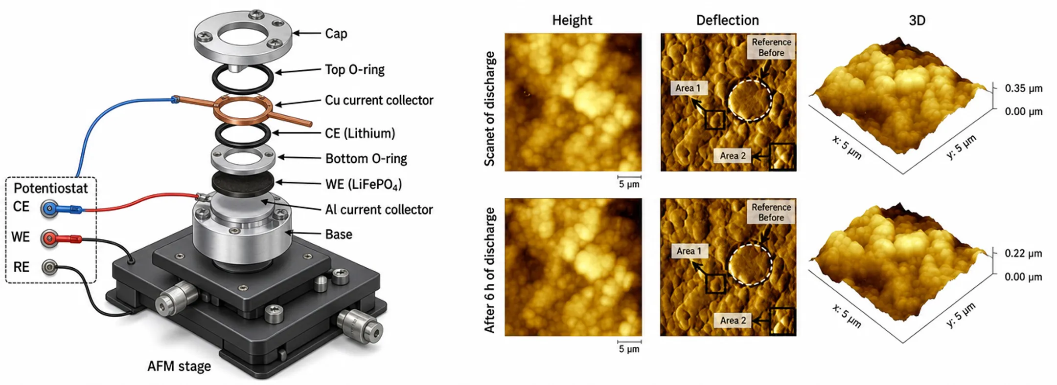 In-situ AFM liquid cell setup for battery electrode electrochemical imaging