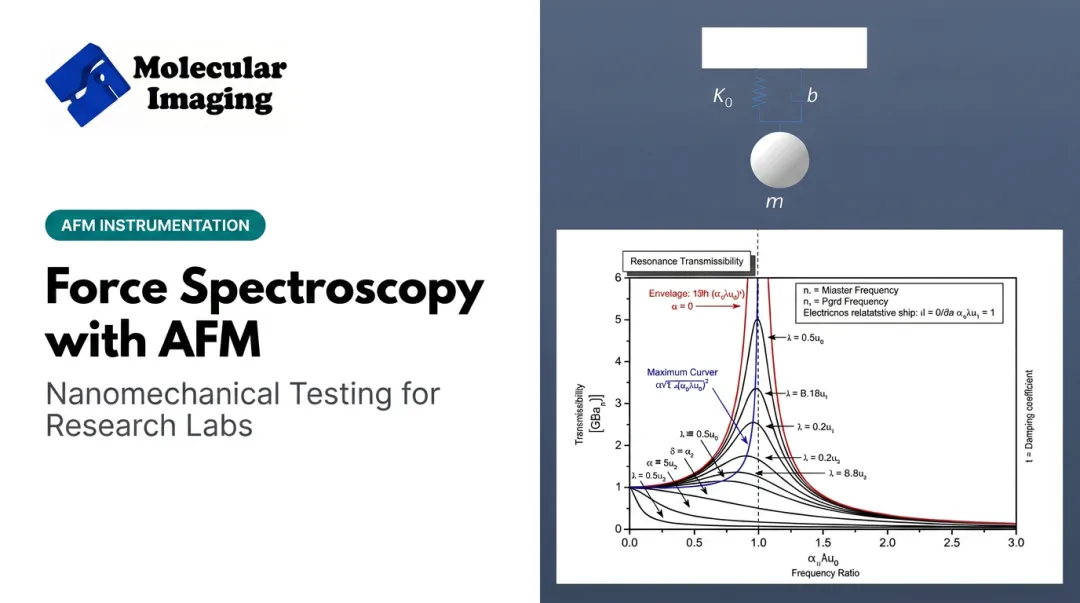 Force Spectroscopy with AFM