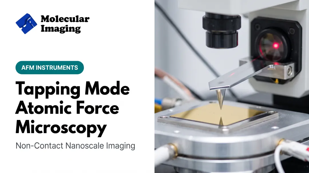 Tapping Mode Atomic Force Microscopy