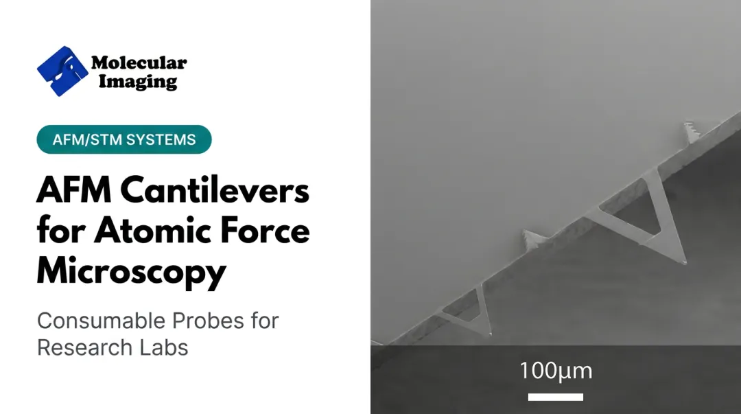 AFM Cantilevers for Atomic Force Microscopy