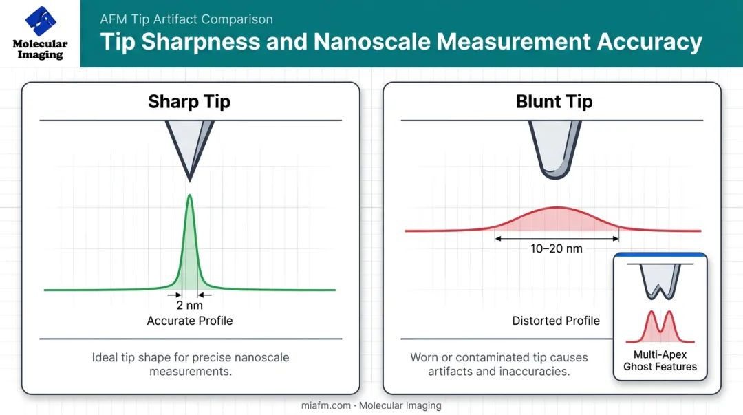 Sharp versus worn AFM tip imaging distortion comparison diagram