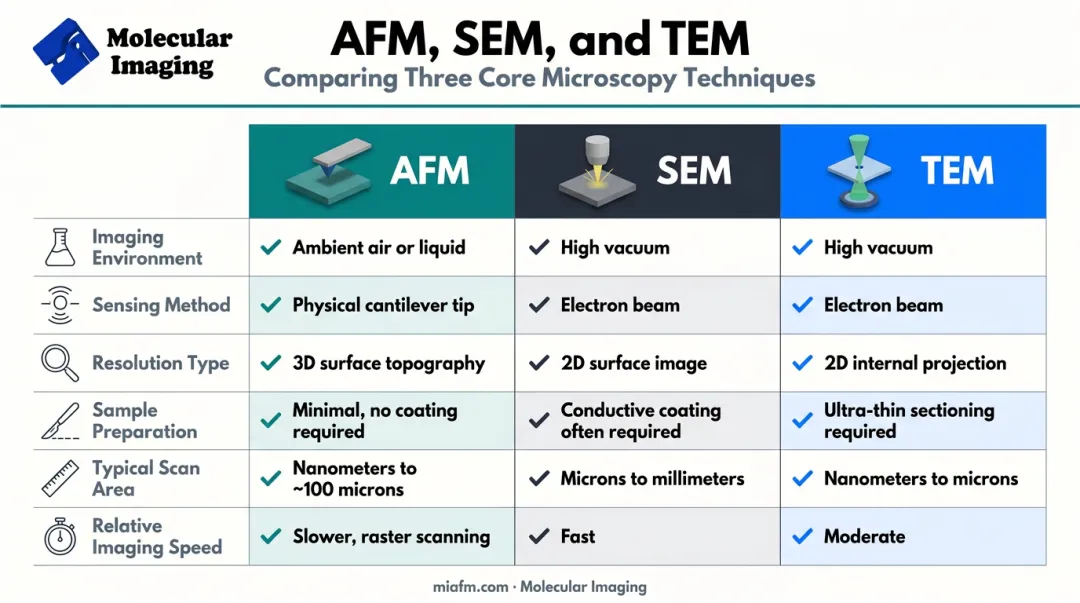 AFM SEM and TEM imaging technique comparison chart