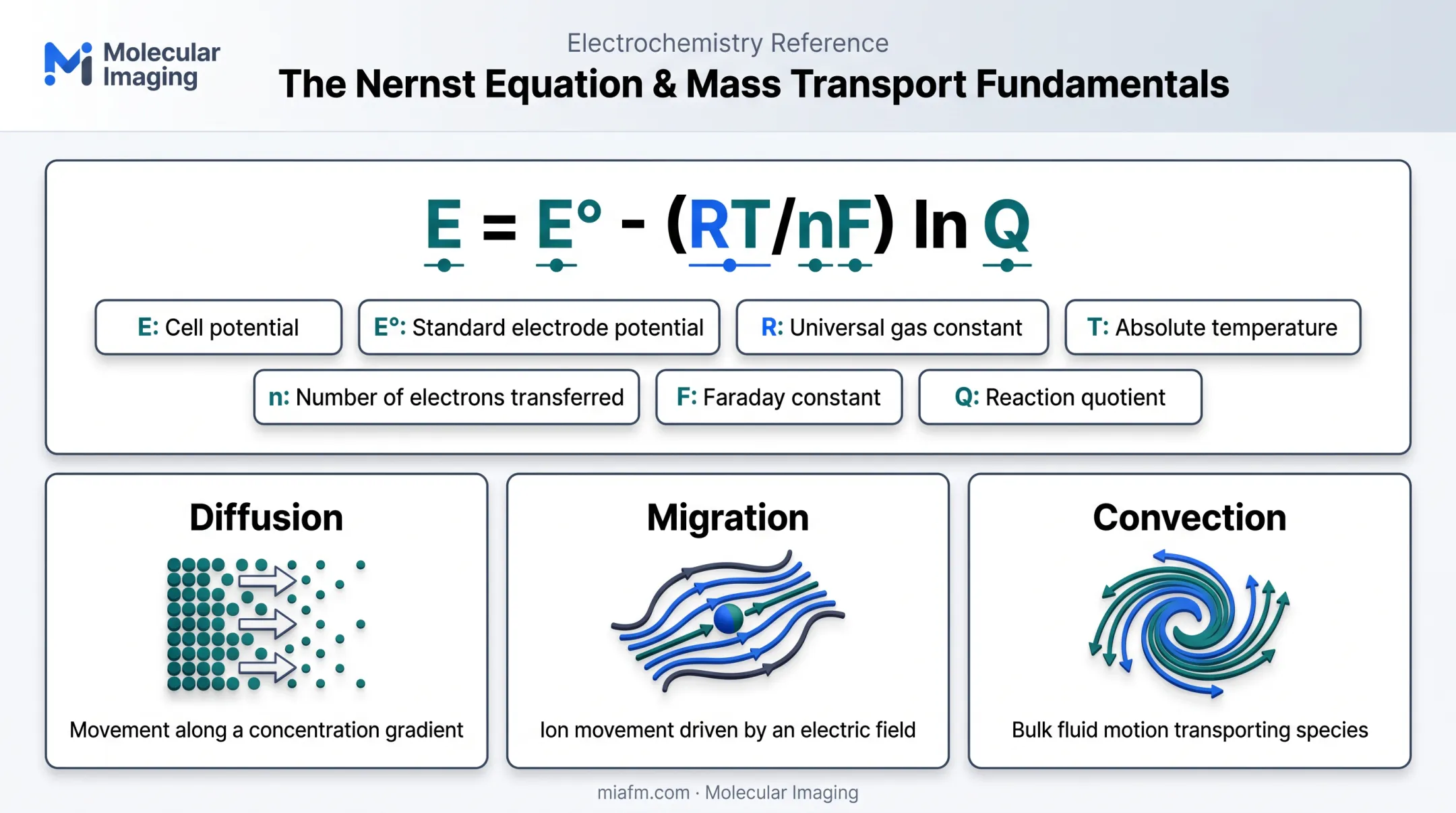 Nernst equation variables and mass transport mechanisms diagram for electrochemical cells