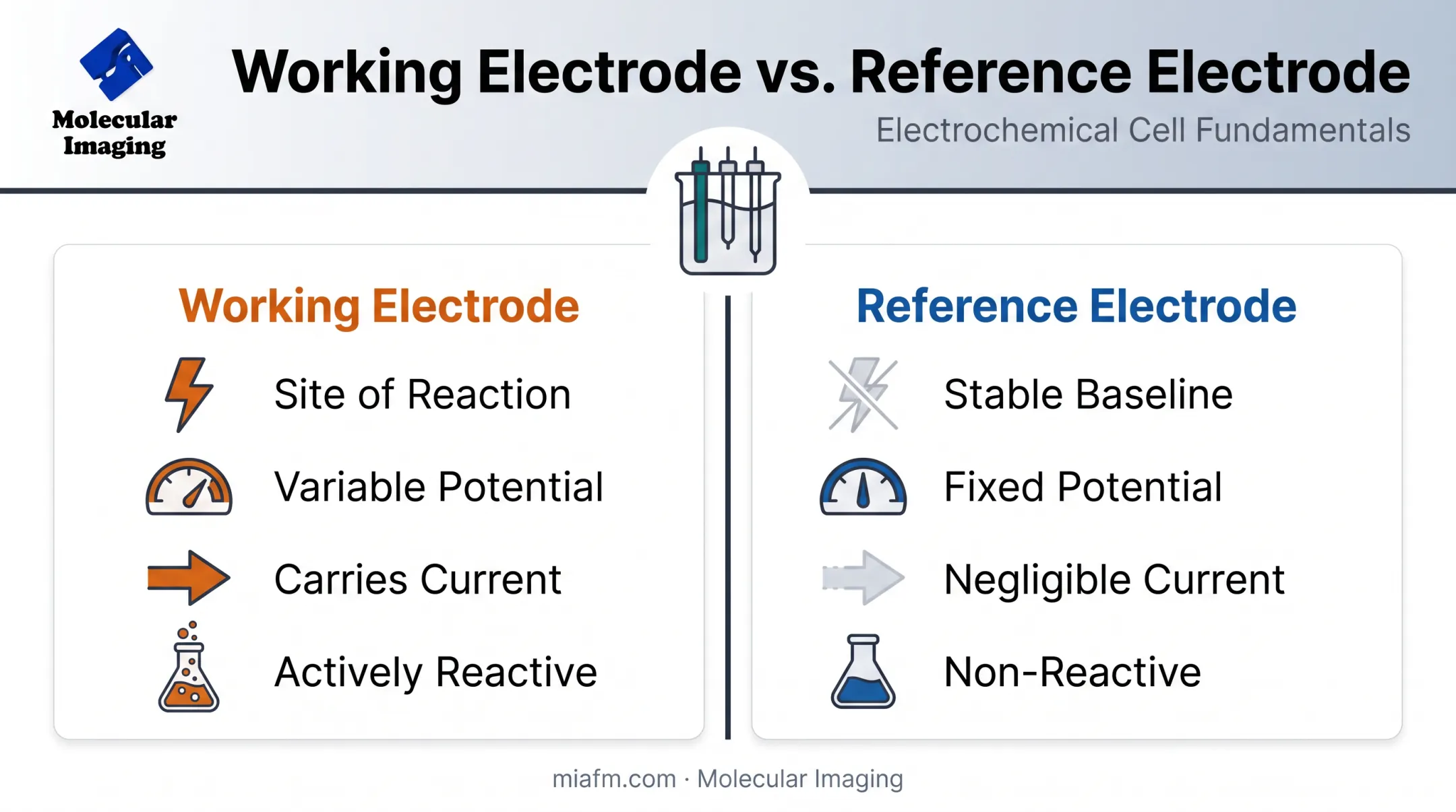Working electrode versus reference electrode key differences comparison chart