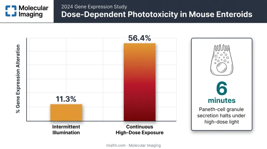 Dose-dependent phototoxicity effects on gene expression and cell function