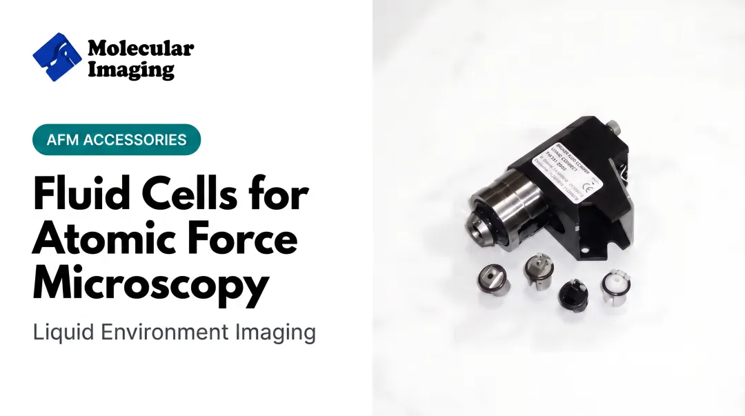 Fluid Cells for Atomic Force Microscopy