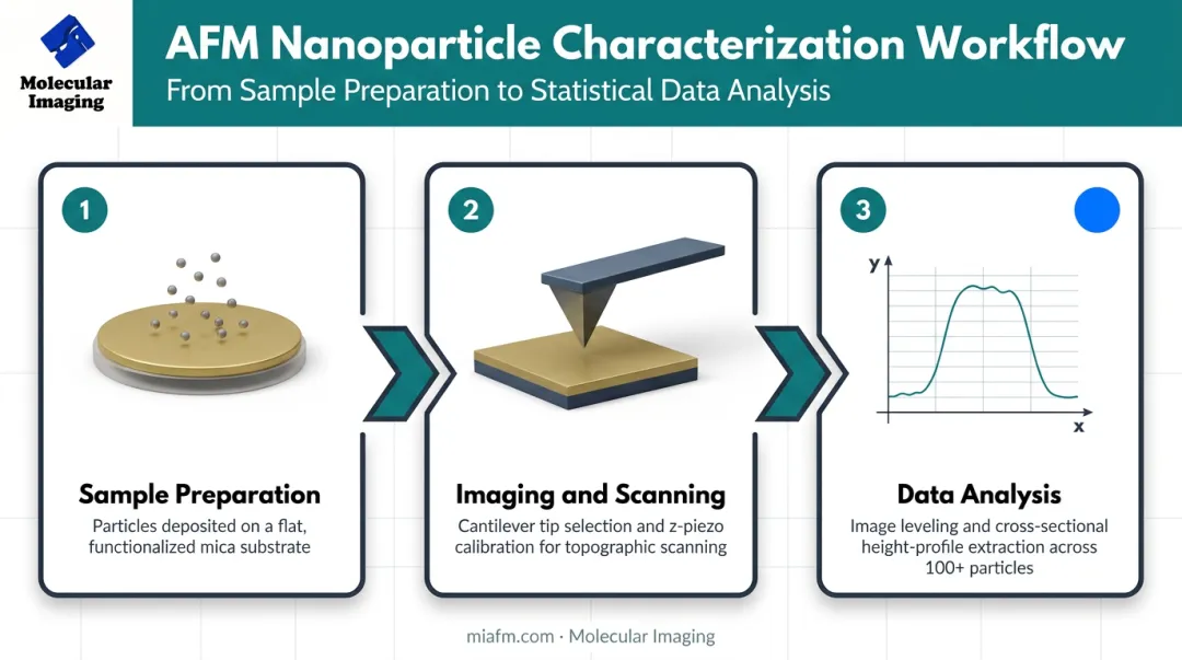 3-step AFM nanoparticle characterization workflow from prep to analysis