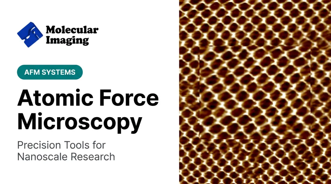 Atomic Force Microscopy