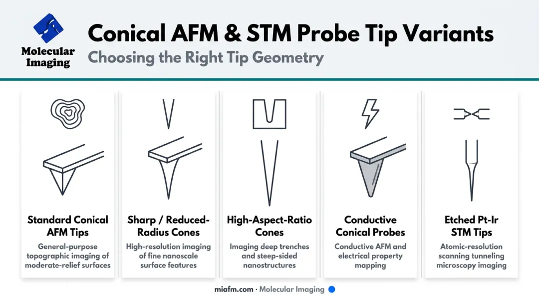 Five conical AFM and STM probe tip variants comparison infographic