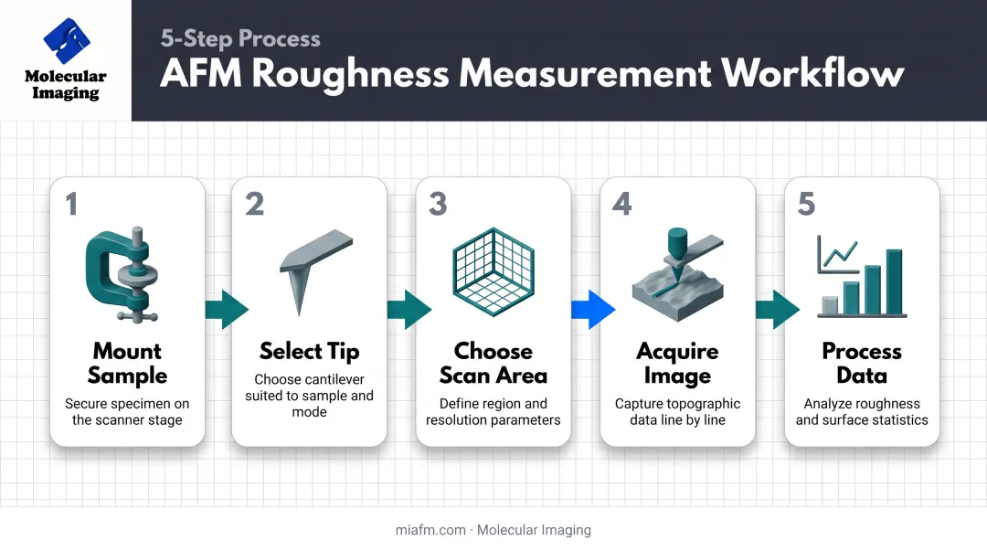 5-step AFM roughness measurement workflow from mounting to data processing
