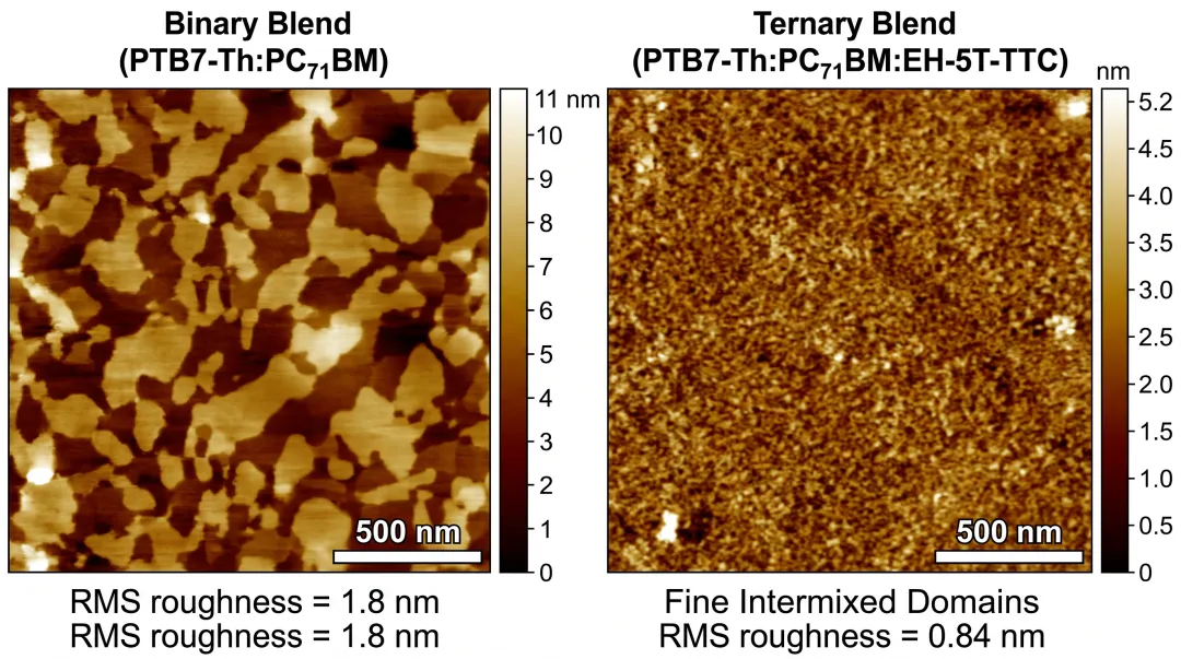 Bulk heterojunction polymer solar cell morphology under microscopy analysis