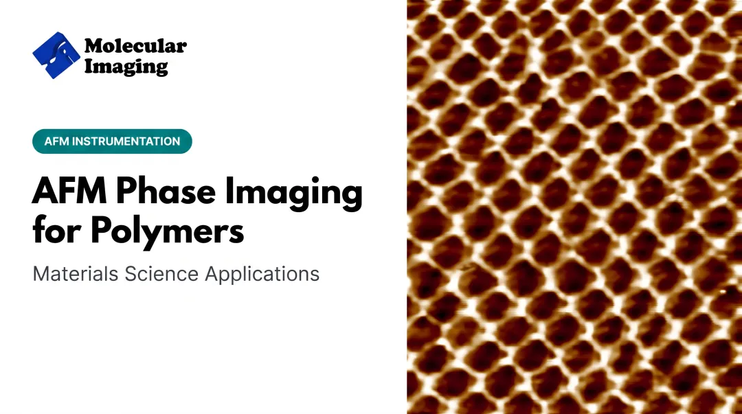 AFM Phase Imaging for Polymers