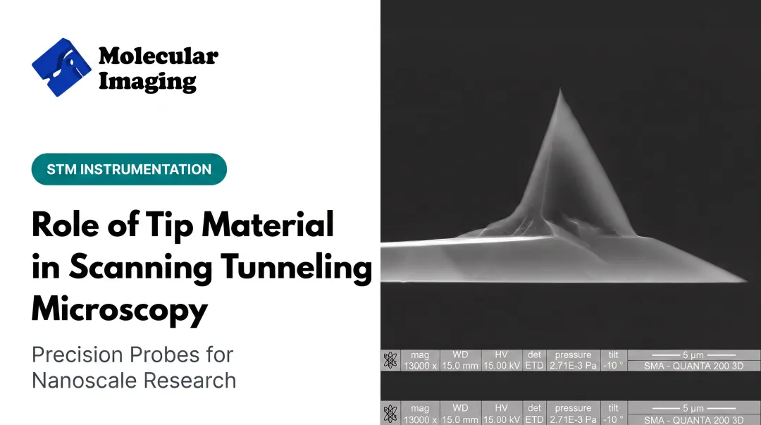 Role of Tip Material in Scanning Tunneling Microscopy