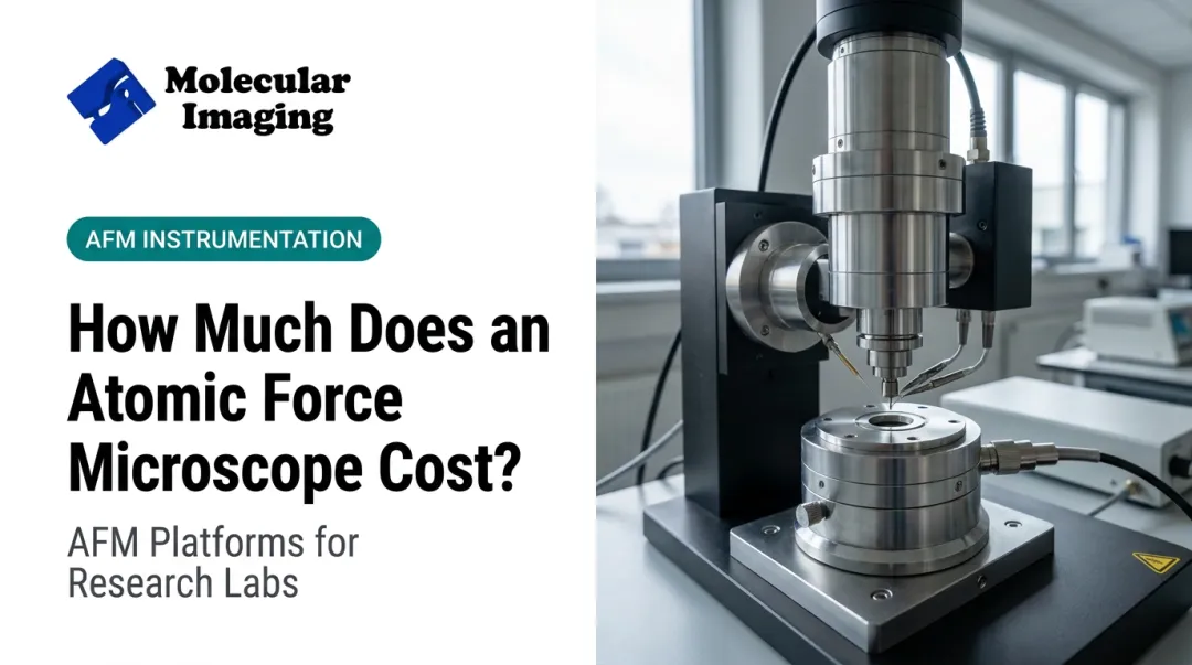How Much Does an Atomic Force Microscope Cost?