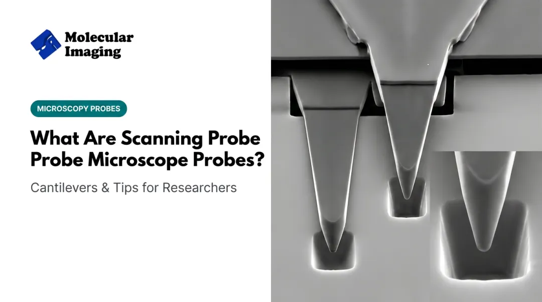 What Are Scanning Probe Microscope Probes?
