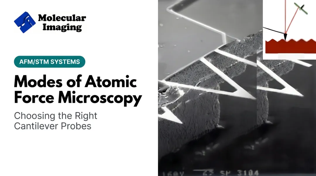 Modes of Atomic Force Microscopy