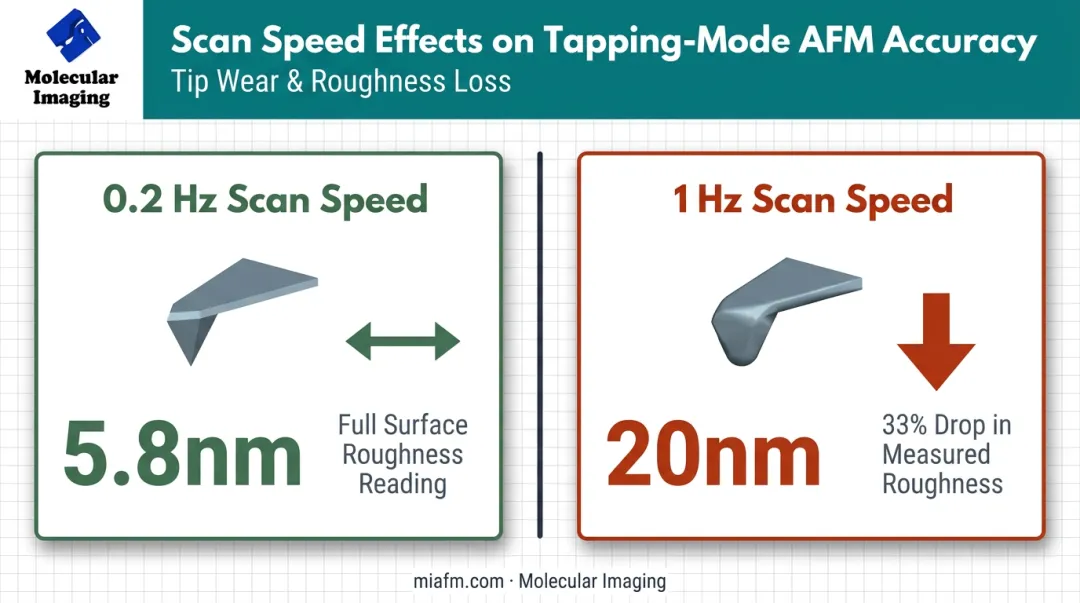 AFM scan speed impact on tip wear and surface roughness accuracy
