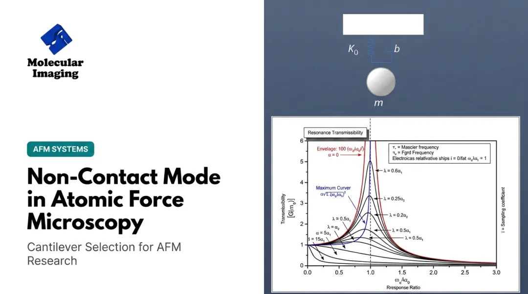 Non-Contact Mode in Atomic Force Microscopy
