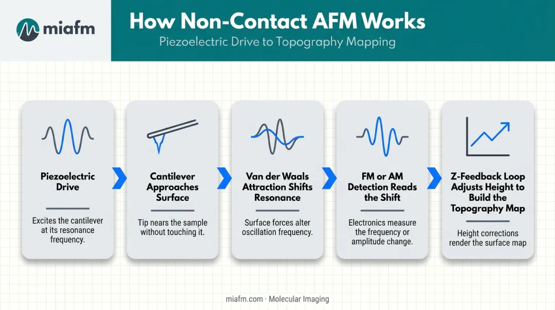 Five-step process flow of non-contact AFM operation and feedback loop