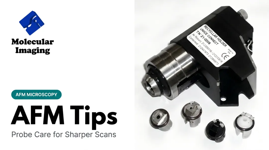 AFM Tips