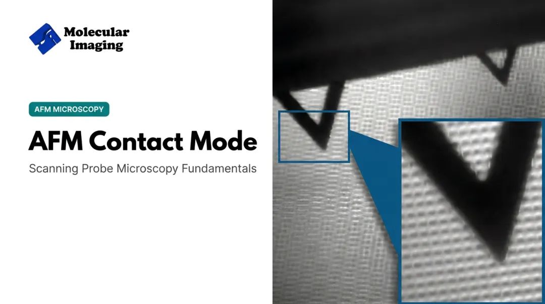 AFM Contact Mode