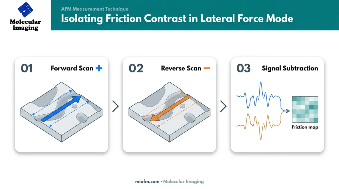 Three-step lateral force microscopy scan process isolating friction signal