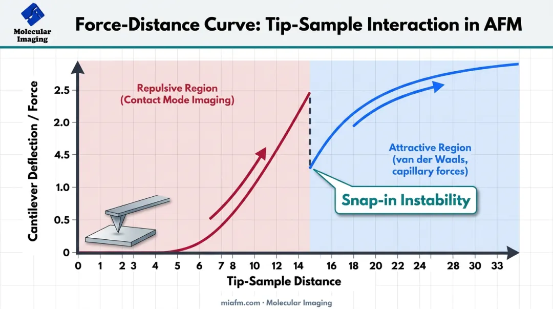 AFM force-distance curve showing snap-in point and repulsive contact zone