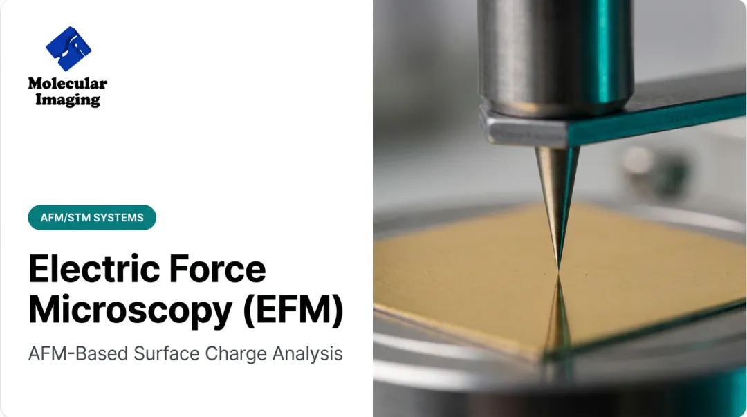 Electric Force Microscopy (EFM)