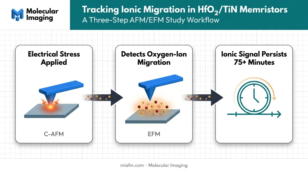 Combined C-AFM and EFM workflow detecting oxygen-ion migration in memristors