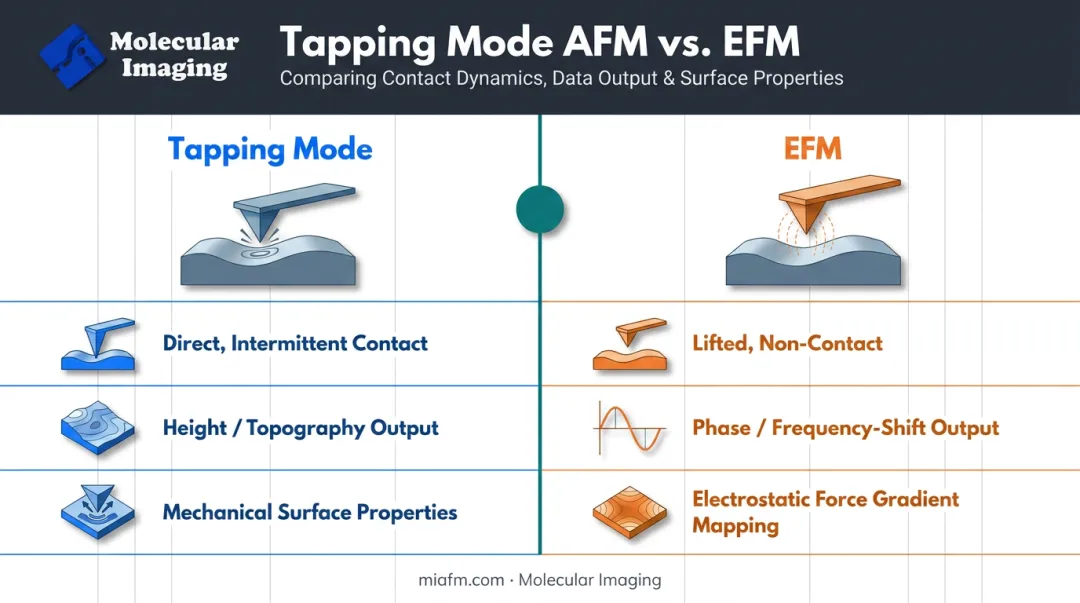 Tapping mode AFM versus EFM signal detection comparison diagram