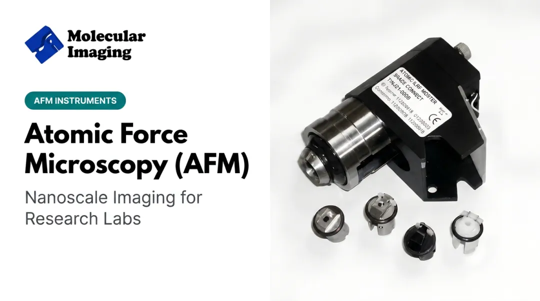 Atomic Force Microscopy (AFM)