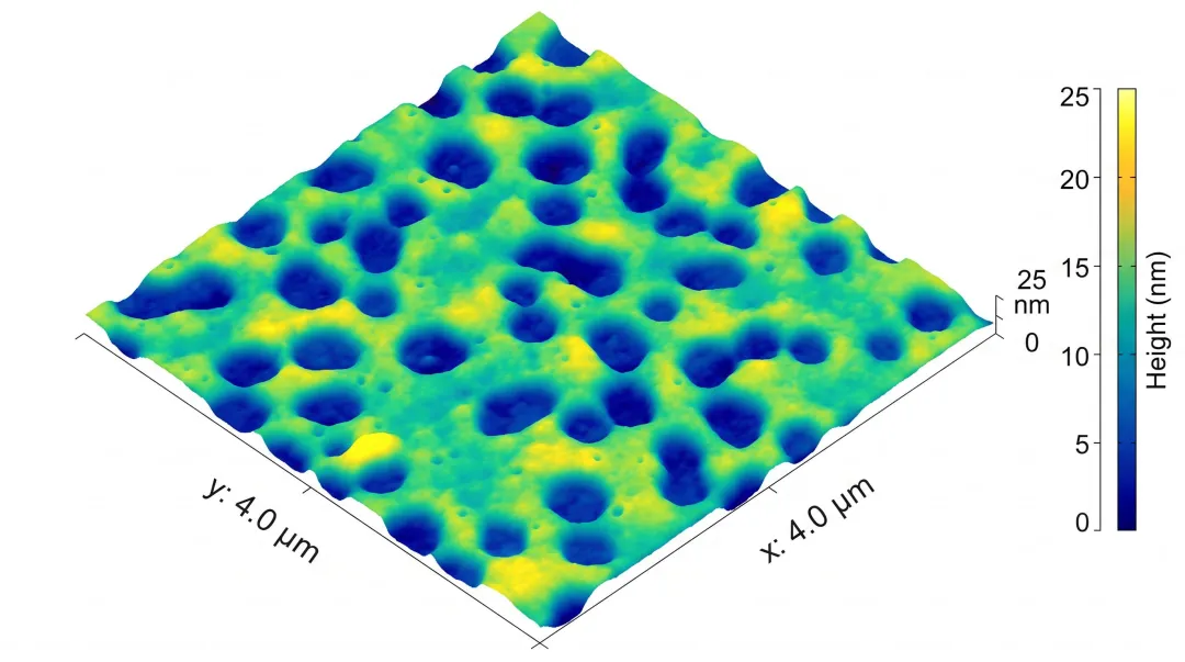 AFM topographic scan image showing nanoscale surface detail example